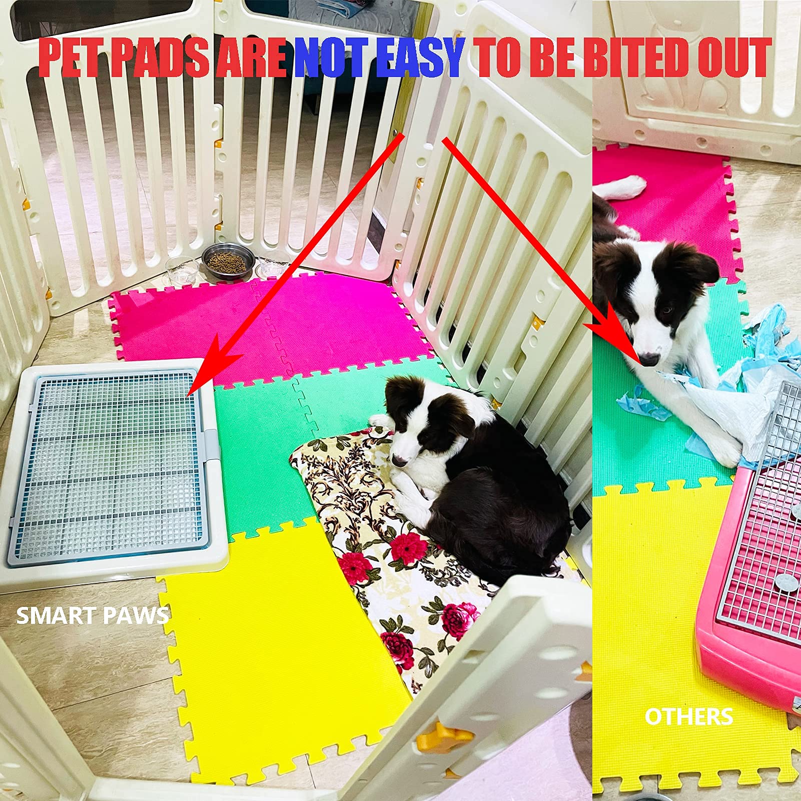 Smart Paws pads holder demonstrates tidy pad management for quick changes