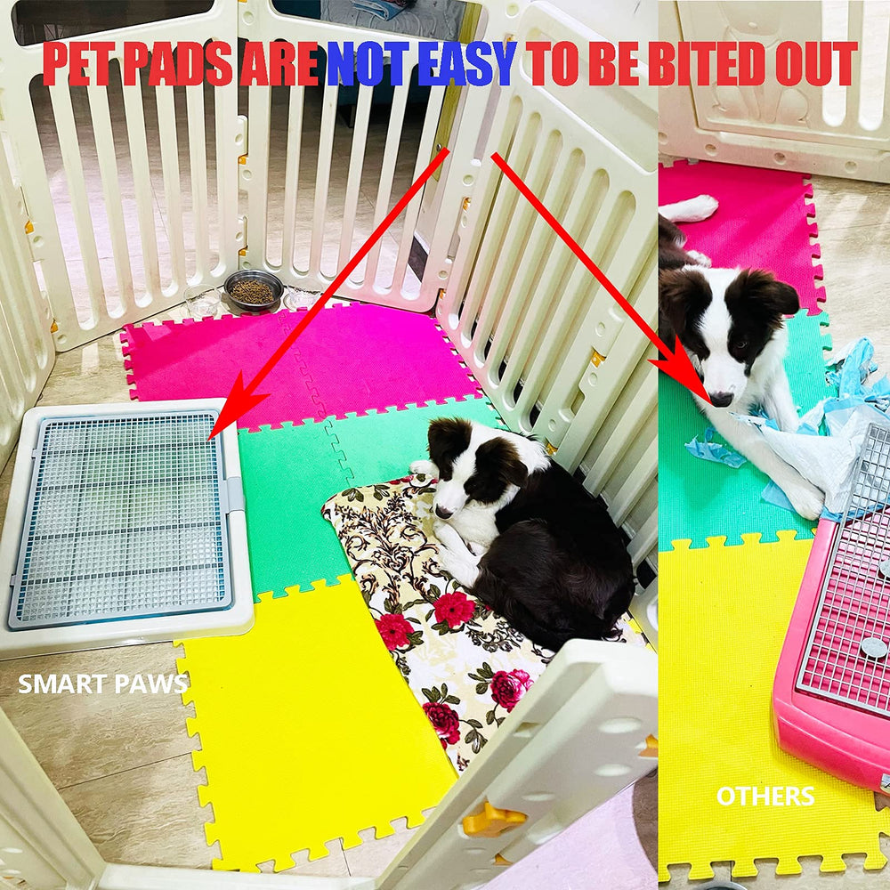 Smart Paws pads holder demonstrates tidy pad management for quick changes