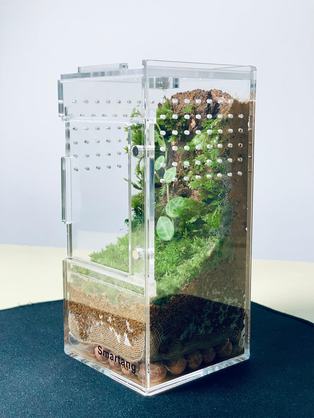 Smartang Acrylic Terrarium 95% transparency offers clear viewing.
