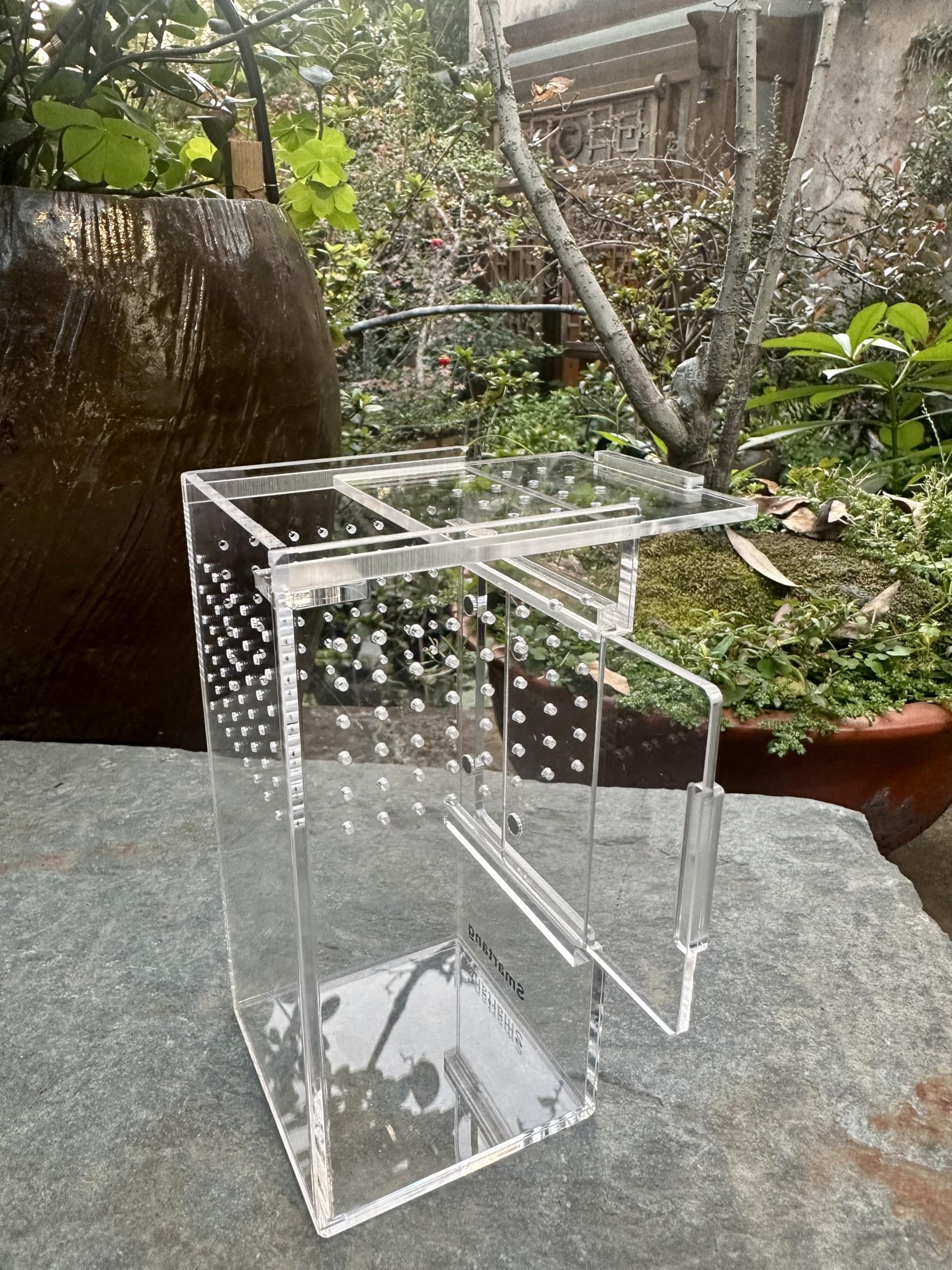 Smartang Beginner-friendly spider habitat, ideal as a curious observer gift.