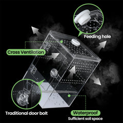 Smartang cross-ventilation terrarium maintains airflow and humidity balance.