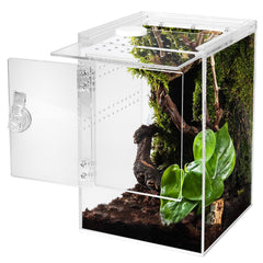 Smartang front-opening terrarium enables easy feeding and cleaning for active spiders.