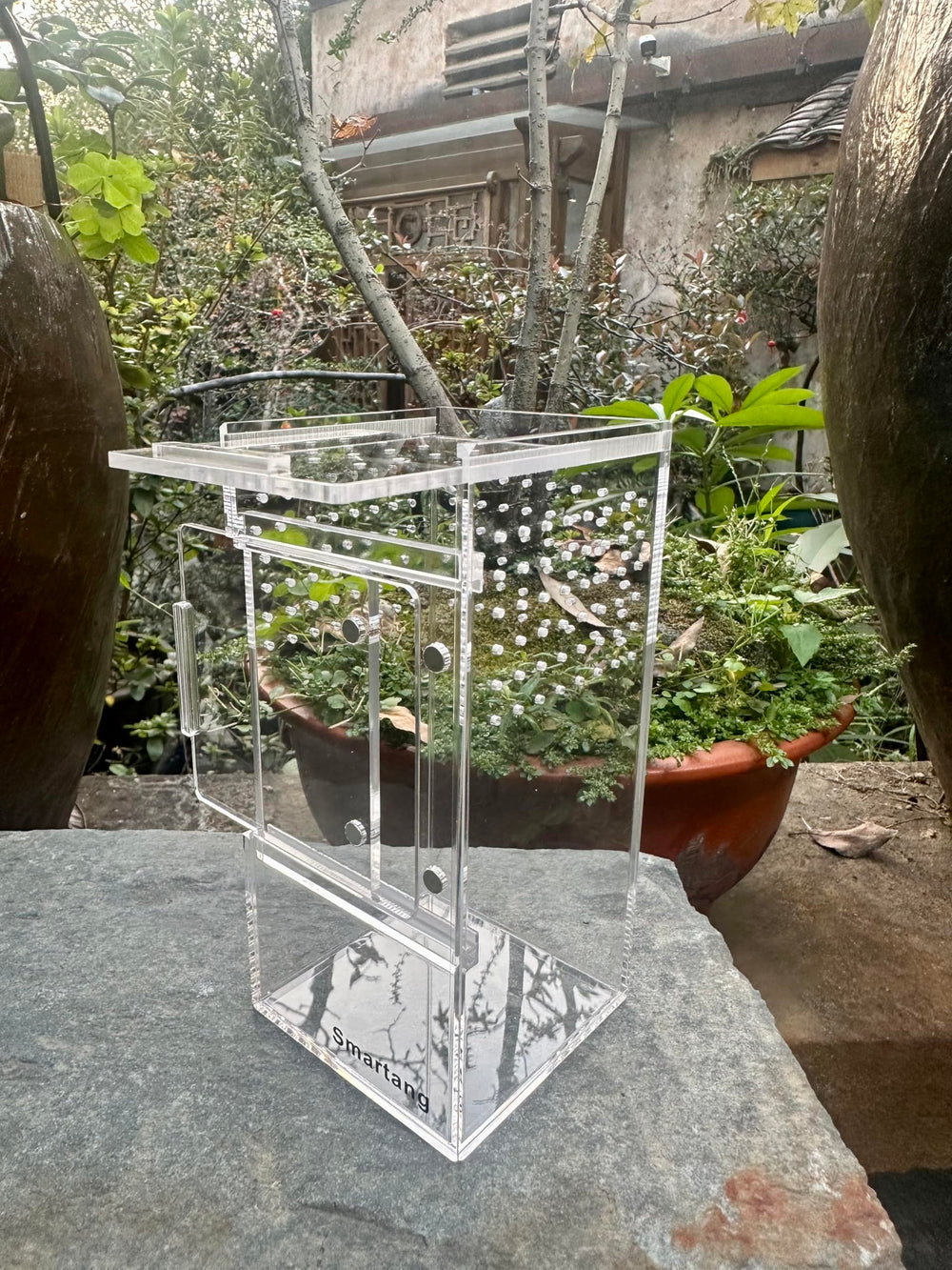 Smartang Jumping Spider Enclosure top door enables feeding without damaging webs.