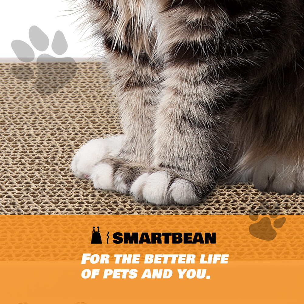SMARTBEAN Scratcher Pad multi-cat setup enables shared space and coordinated play