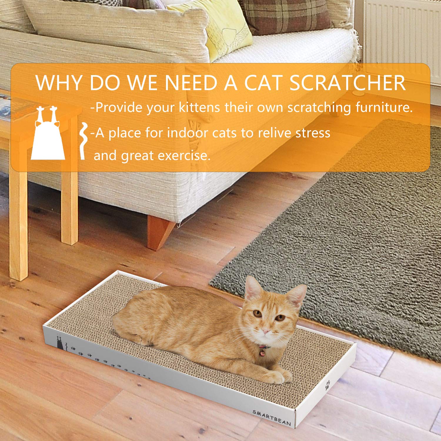 Smartbean Cat lounging on scratcher pad for rest and play