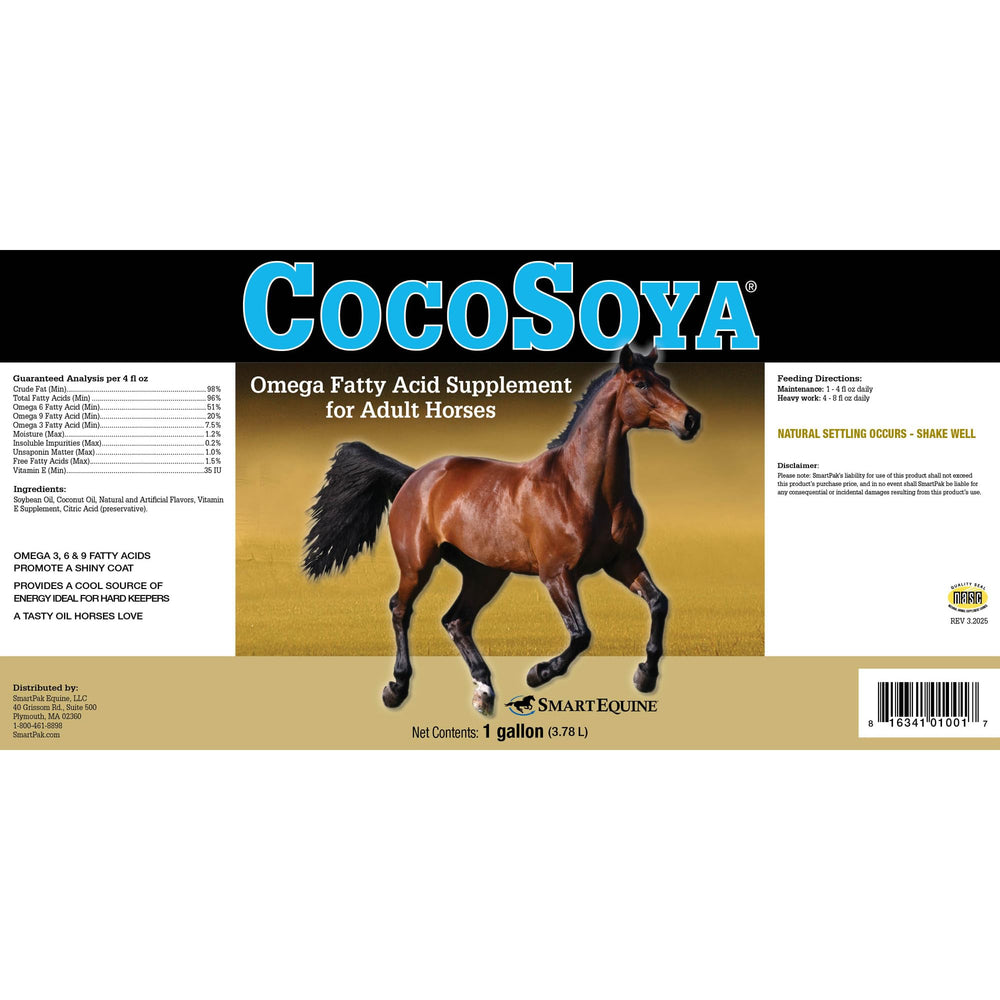 SmartEquine CocoSoya Oil close-up highlighting a lustrous coat and healthy skin