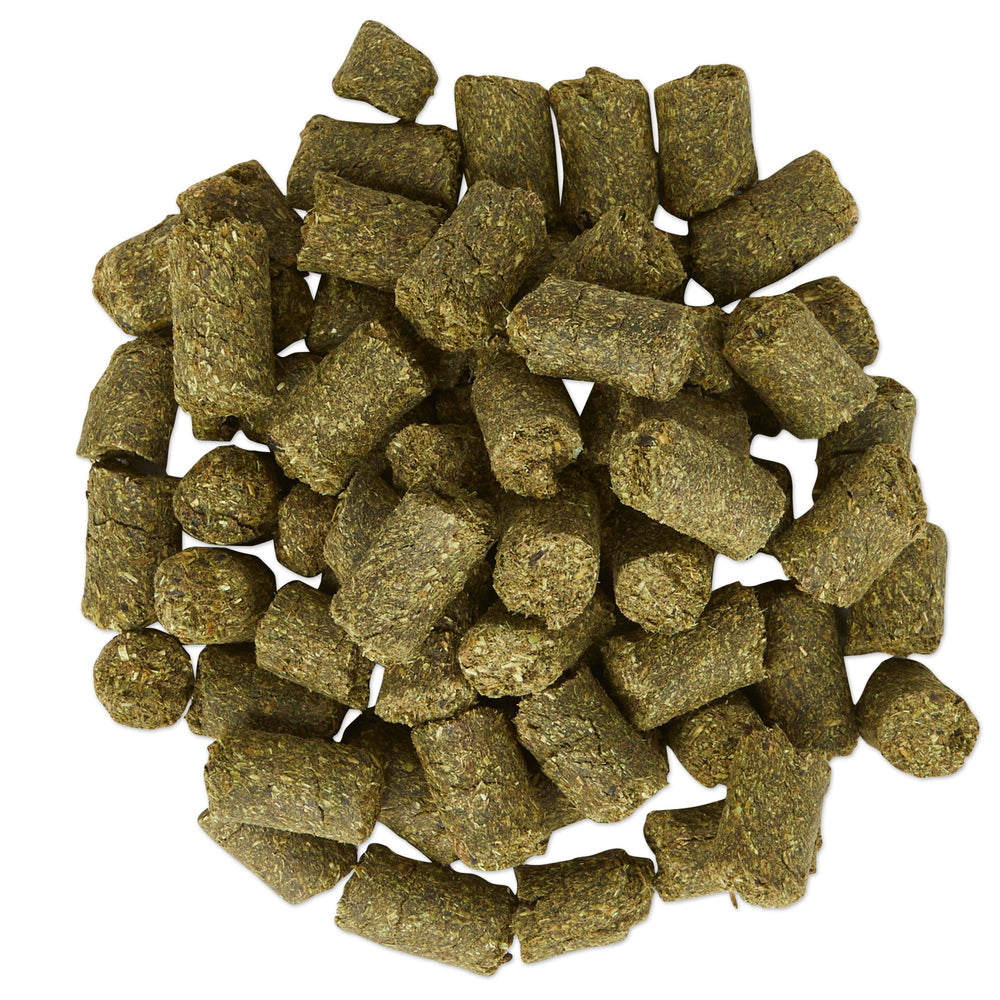 SmartEquine Equi Treats banana bread cookie close-up ideal training rewards.