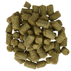 SmartEquine Equi Treats banana bread cookie close-up ideal training rewards.