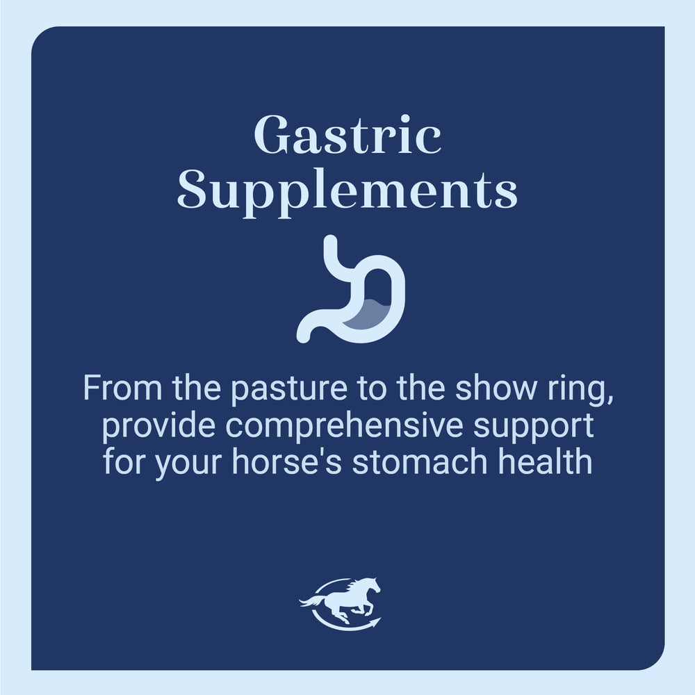 SmartEquine Gut Pellets serving scoop demonstrates convenient daily dosing for gut balance.
