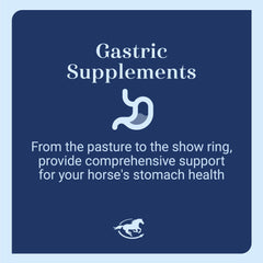 SmartEquine Gut Pellets serving scoop demonstrates convenient daily dosing for gut balance.