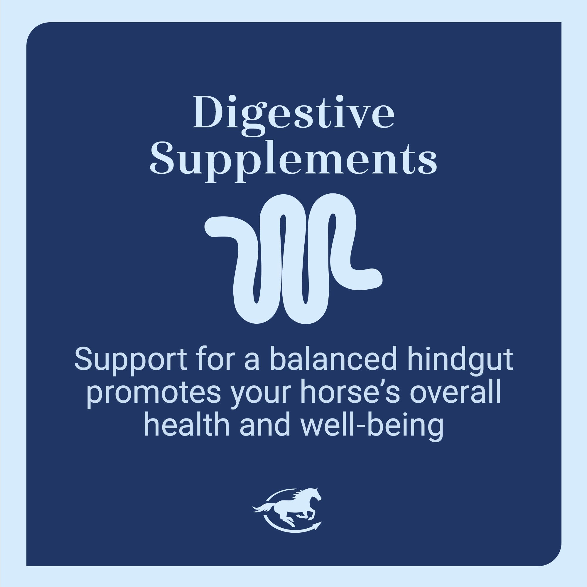 SmartEquine Gut Pellets in stable scene suggest travel-friendly digestion support during events.