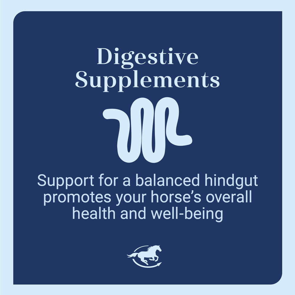 SmartEquine Gut Pellets in stable scene suggest travel-friendly digestion support during events.