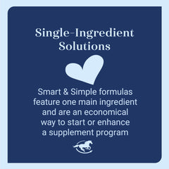 SmartEquine magnesium powder added to feed during morning routine for calm focus.
