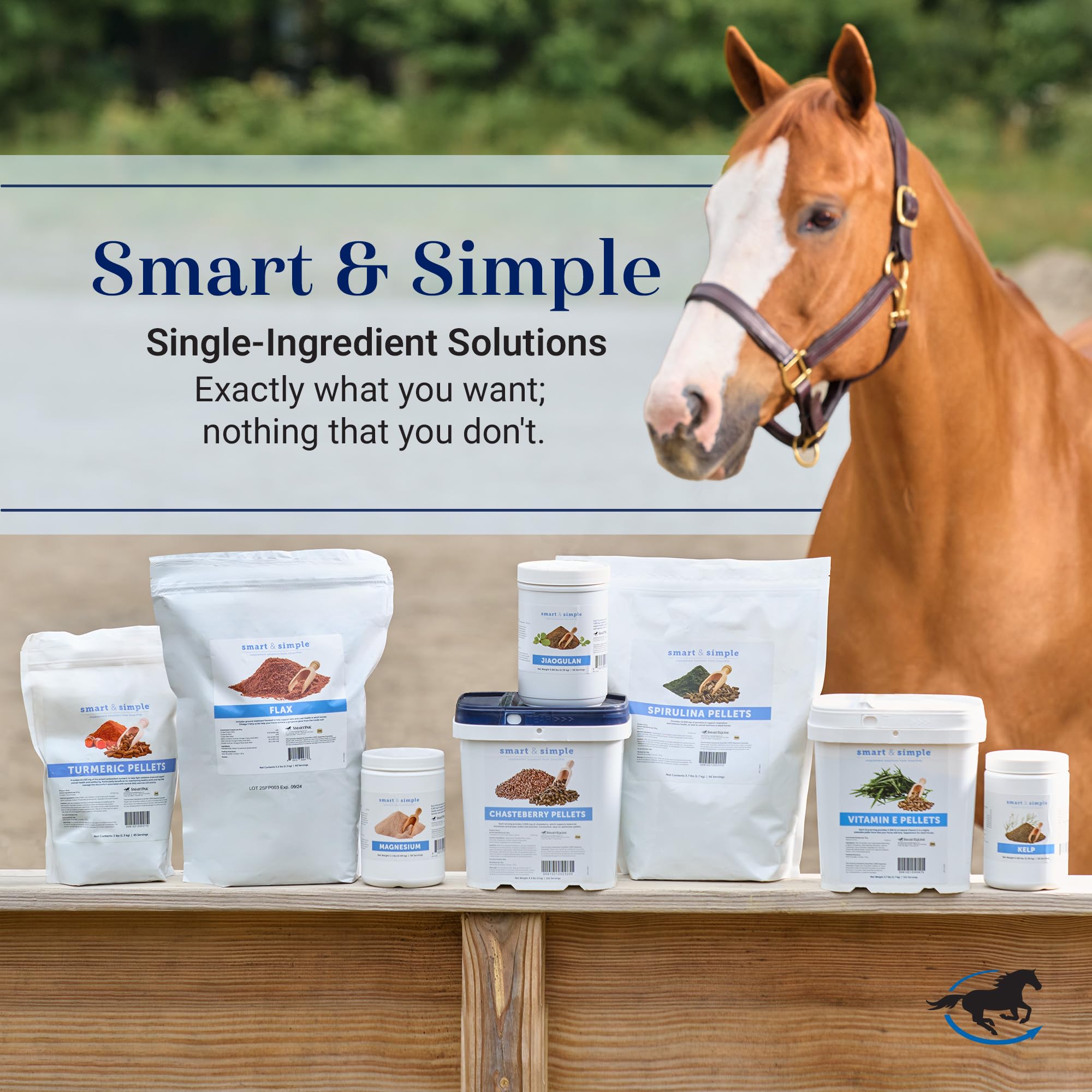 SmartEquine magnesium powder in a training setting supports readiness and focus.