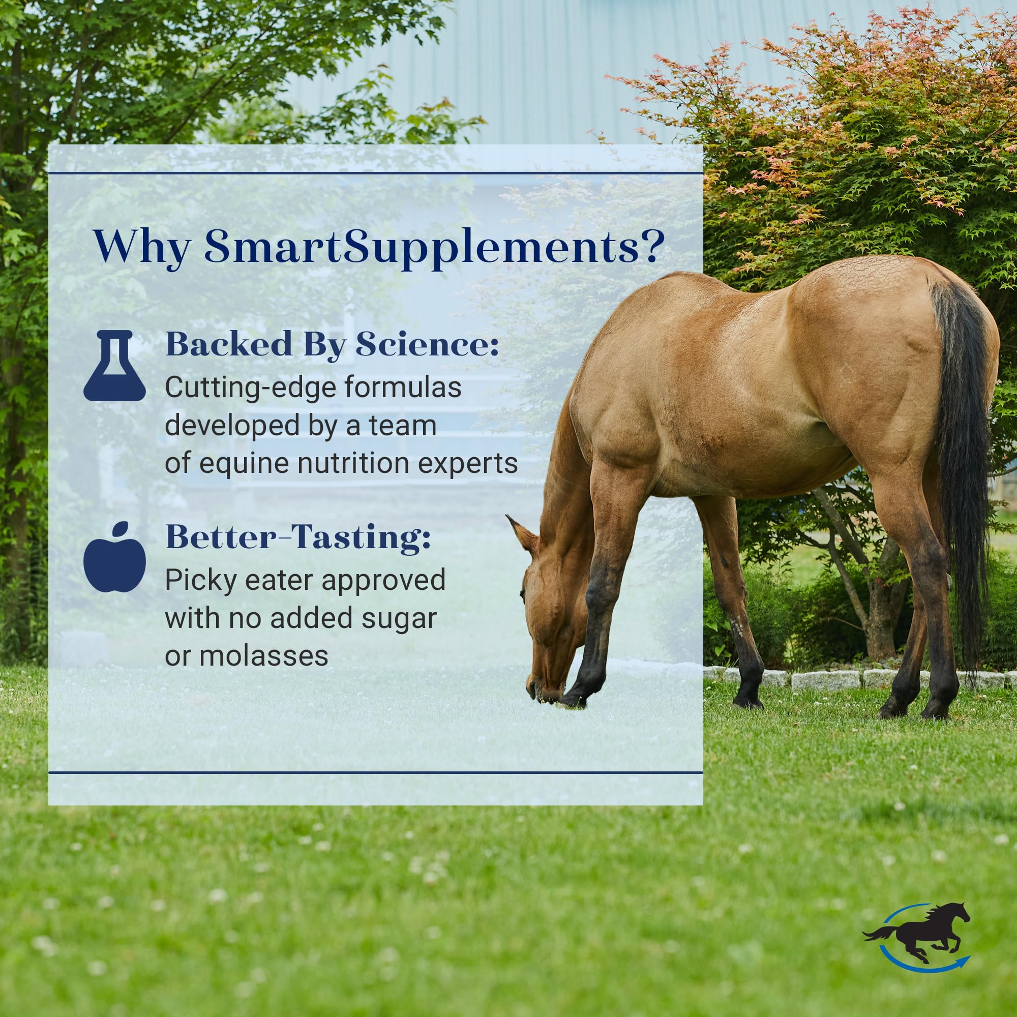 SmartEquine SmartCalm Ultra in stable scene showing calmer horse during transport or training.