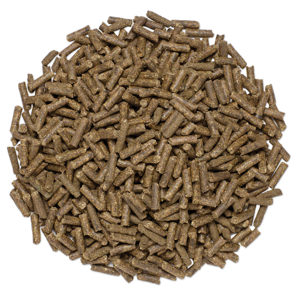 SmartEquine SmartCalm Ultra pellets close-up highlighting uniform pellets for dosing.