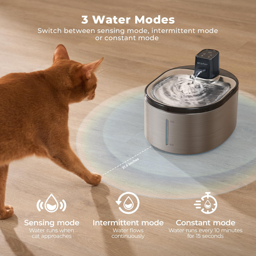 Smartoo 4000mAh battery-powered fountain for cordless placement anywhere
