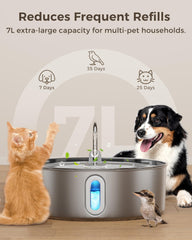 Smartoo stainless-steel dog water fountain provides durable, easy-clean hydration for pets.