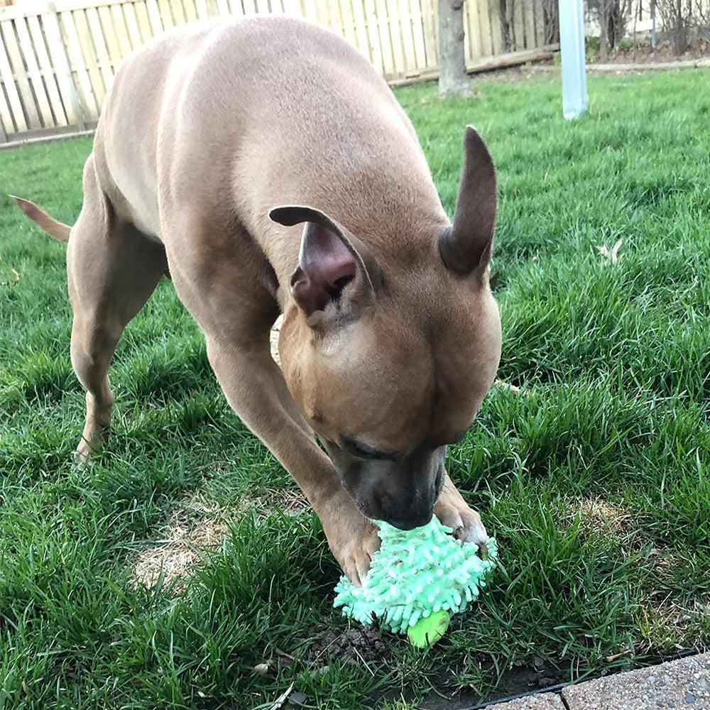 SmartPetLove Snuggle Puppy Tender-Tuffs Ball durable plush surface built for rough play