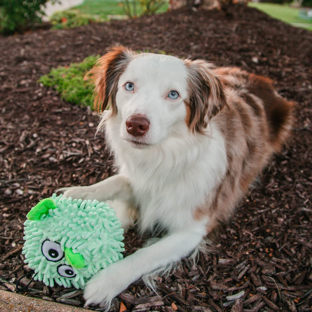 SmartPetLove Snuggle Puppy Tender-Tuffs Ball promotes interactive play between you and your dog