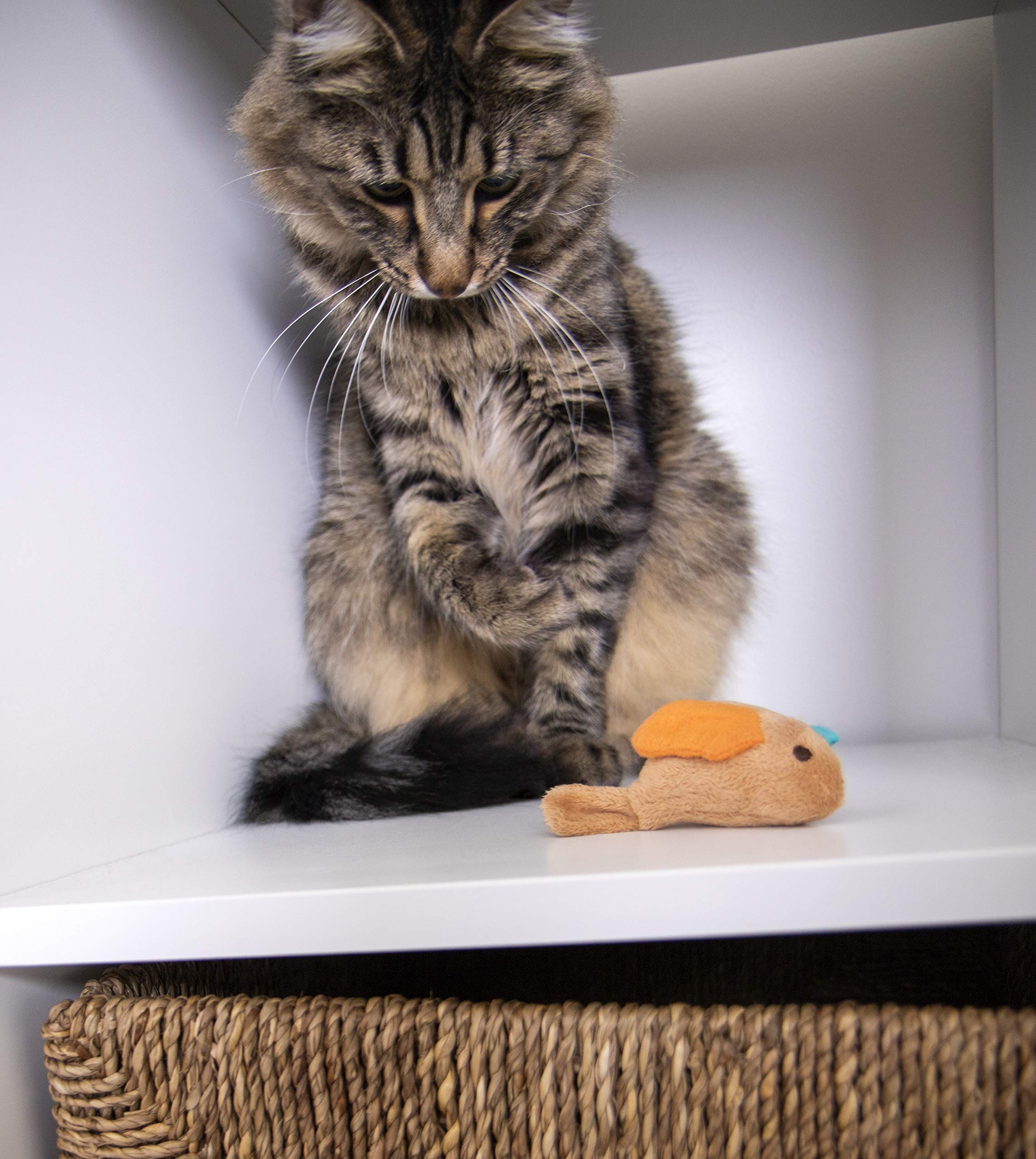 SmartyKat Chickadee Chirp compact dimensions 3-5 x 3-25 x 1-5 inches.