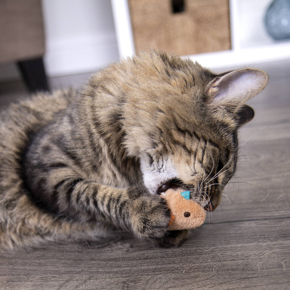 SmartyKat Chickadee Chirp light brown color displayed during play.