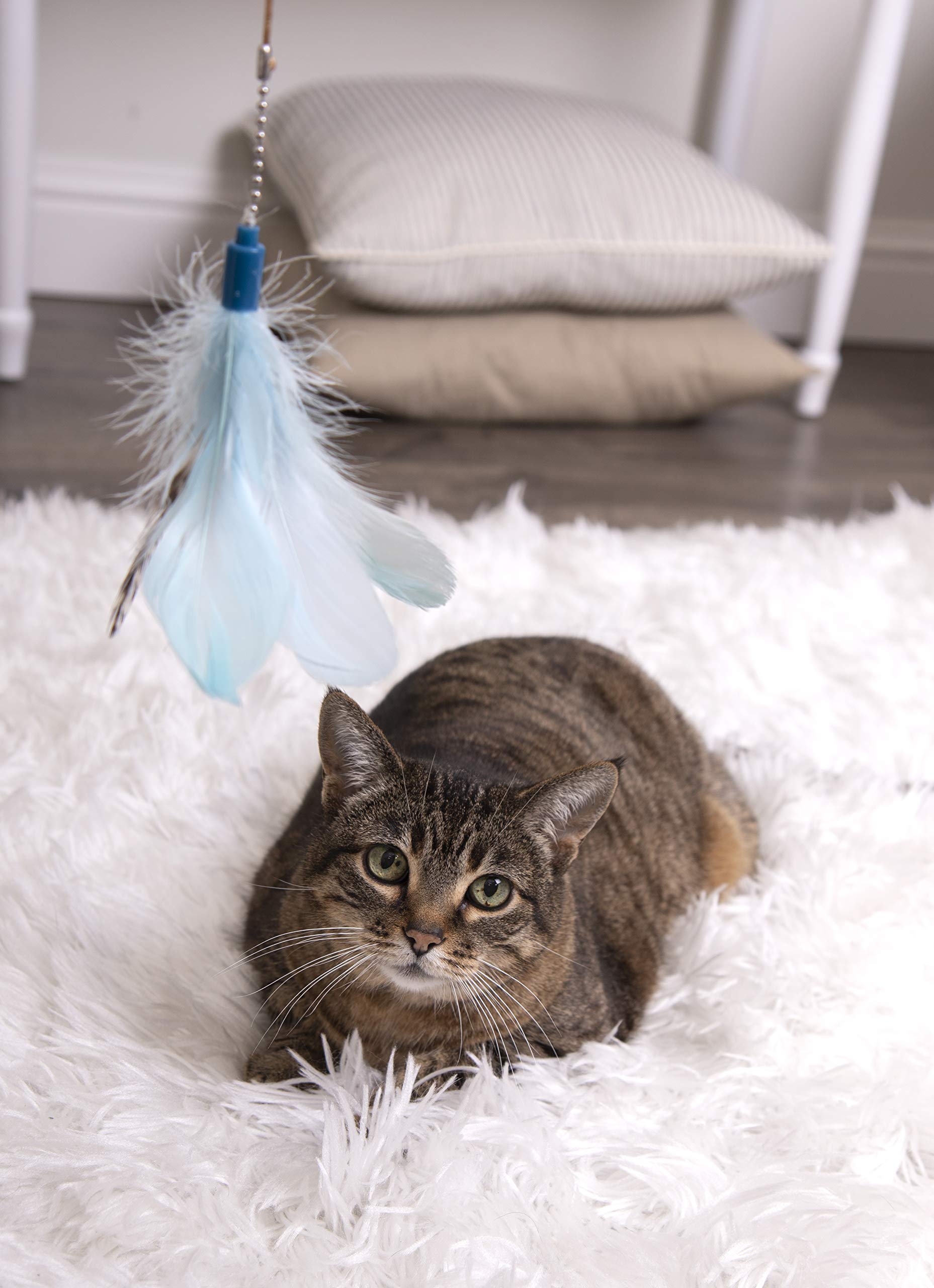 SmartyKat Frisky Flyer cat-chasing-wand invites interactive play that taps into natural hunting instincts.