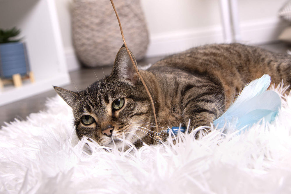 SmartyKat Frisky Flyer feathers texture detail supports engaging prey-like motion during play.