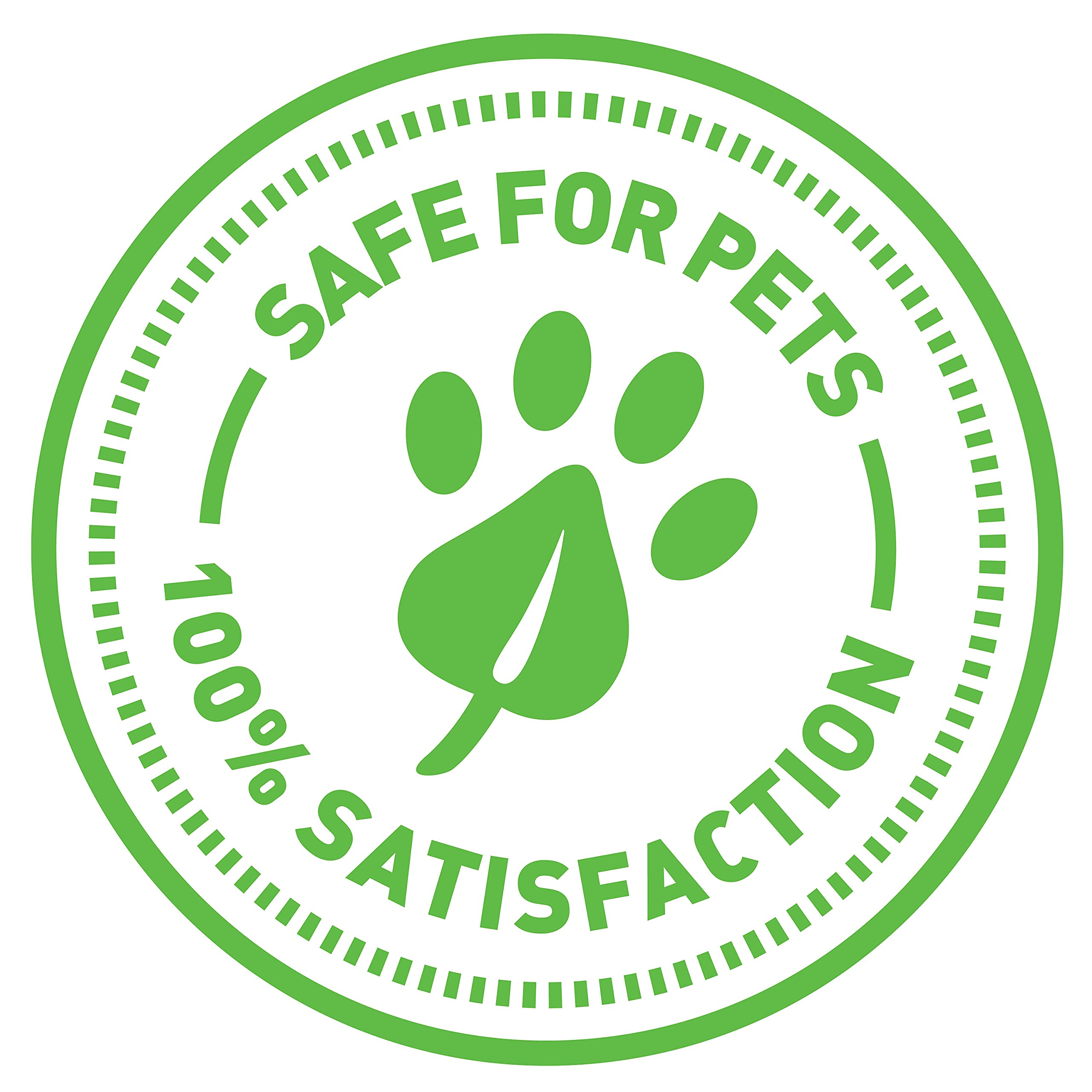 SmartyKat Frisky Flyer safe materials emphasize durability for frequent interactive sessions.