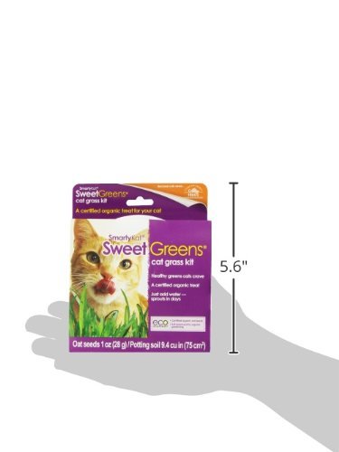 SmartyKat indoor cat garden kit offers enrichment around cat greens.
