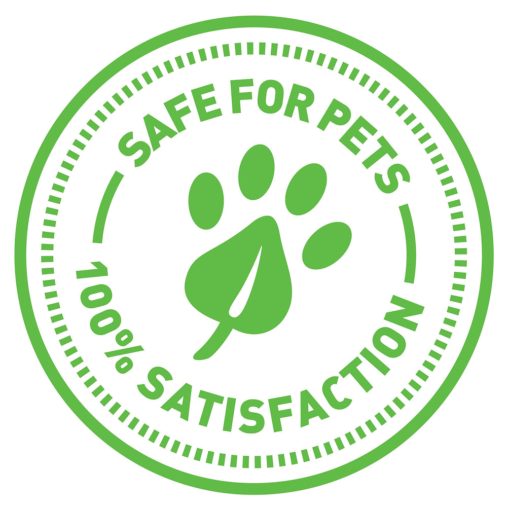 SmartyKat Kolossal Karrot packaging emphasizes safety and sustainable materials.