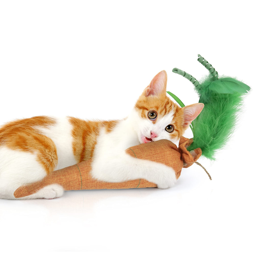 SmartyKat Kolossal Karrot plush exterior with catnip for energetic, social play.