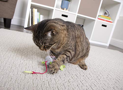 SmartyKat sustainability note: packaging safety and recycled materials support responsible play.