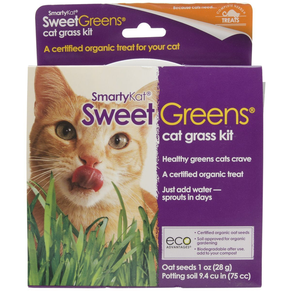 SmartyKat Sweet Greens Cat Grass Kit gently grows cat grass in a recyclable pot for safe indoor snacking.