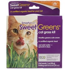 SmartyKat Sweet Greens Cat Grass Kit gently grows cat grass in a recyclable pot for safe indoor snacking.
