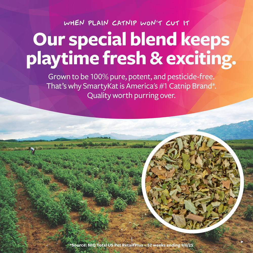 SmartyKat Tea Teazers promotes hunting and stimulation during play.