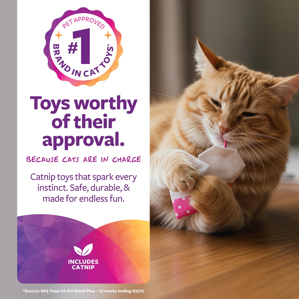 SmartyKat Tea Teazers catnip-filled toy sparks energetic play and exploratory hunting.