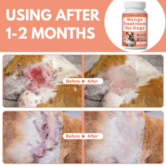 Smellingsalts dog mange tablets skin healing and hair regrowth support.