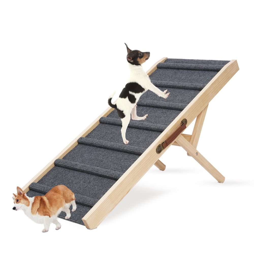Smilebaby large dog pet ramp in car entry aiding safe pet access.