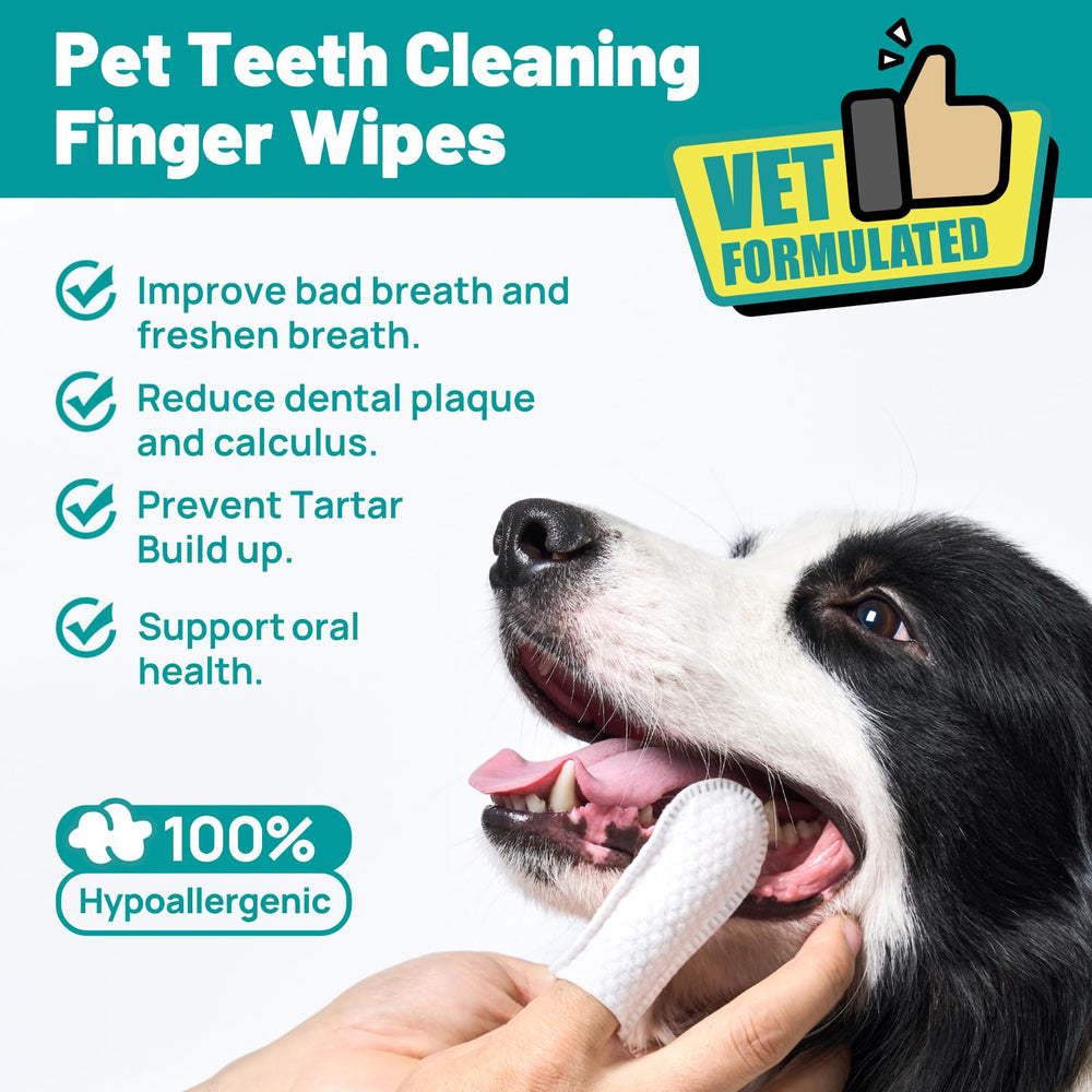 SmileDenX dog finger toothbrush wipes in use for gentle tartar control during cuddle time.
