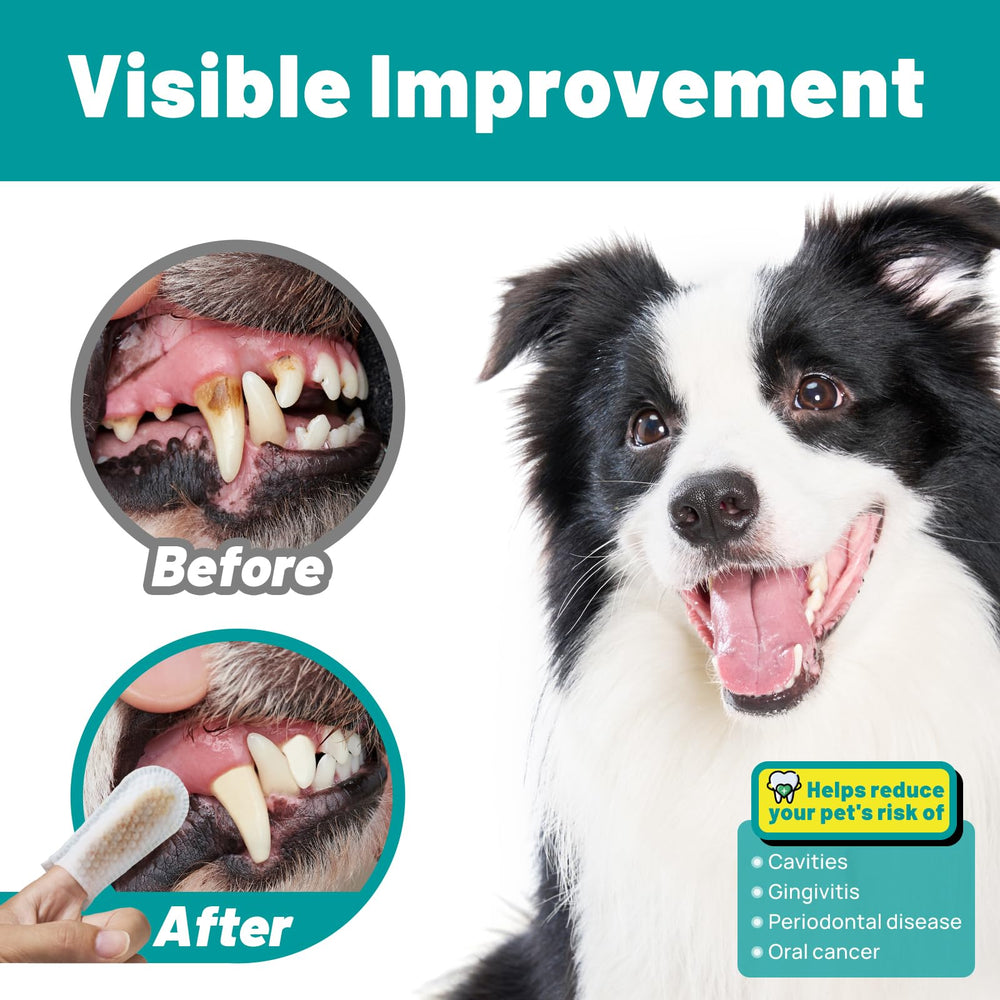 SmileDenX ingredients highlight plant enzymes, baking soda, and tea polyphenols for fresh breath support.