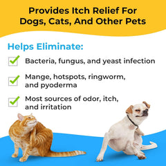 Smiling Paws Pets dog paw application shows convenient treatment on the go