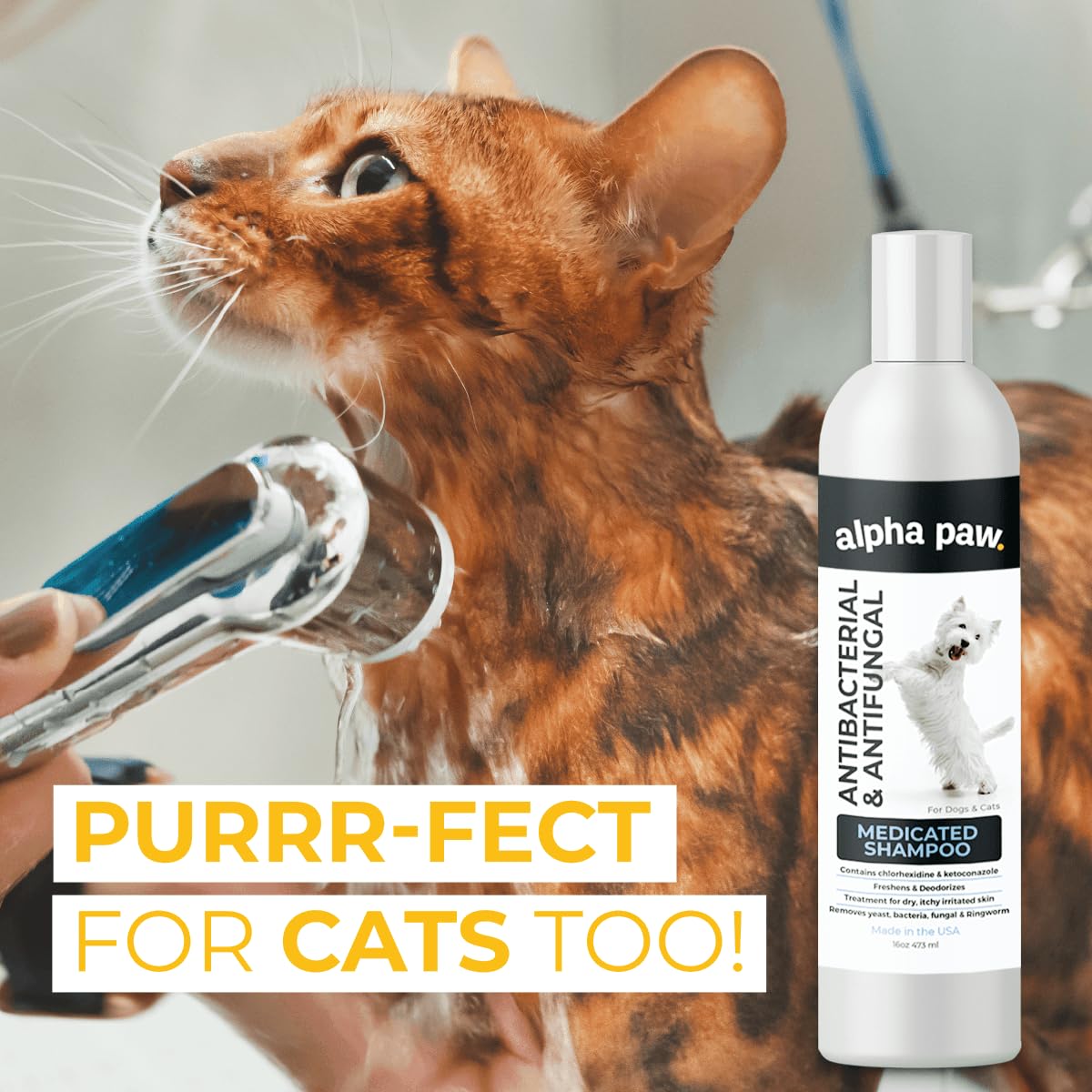 Smiling Paws Pets post-wash cat with pleasant aroma and neat fur.