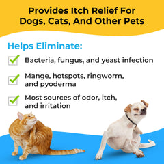 Smiling Paws Pets wipe on dog face demonstrating quick, gentle grooming and skin care.