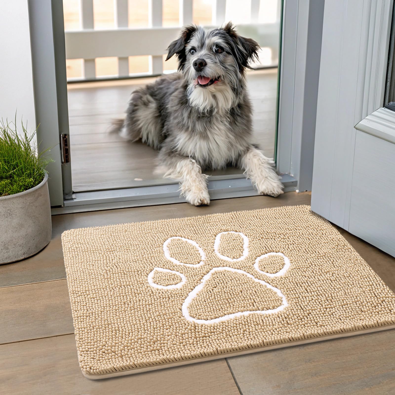 Smiry dog door mat absorbs moisture and traps dirt at the entry.