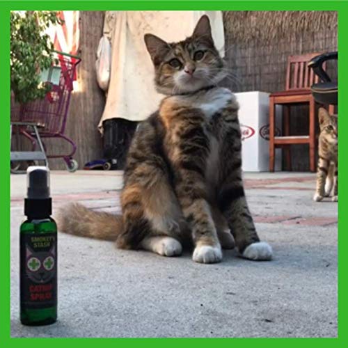 Smokey's Stash catnip spray is safe for kittens during play