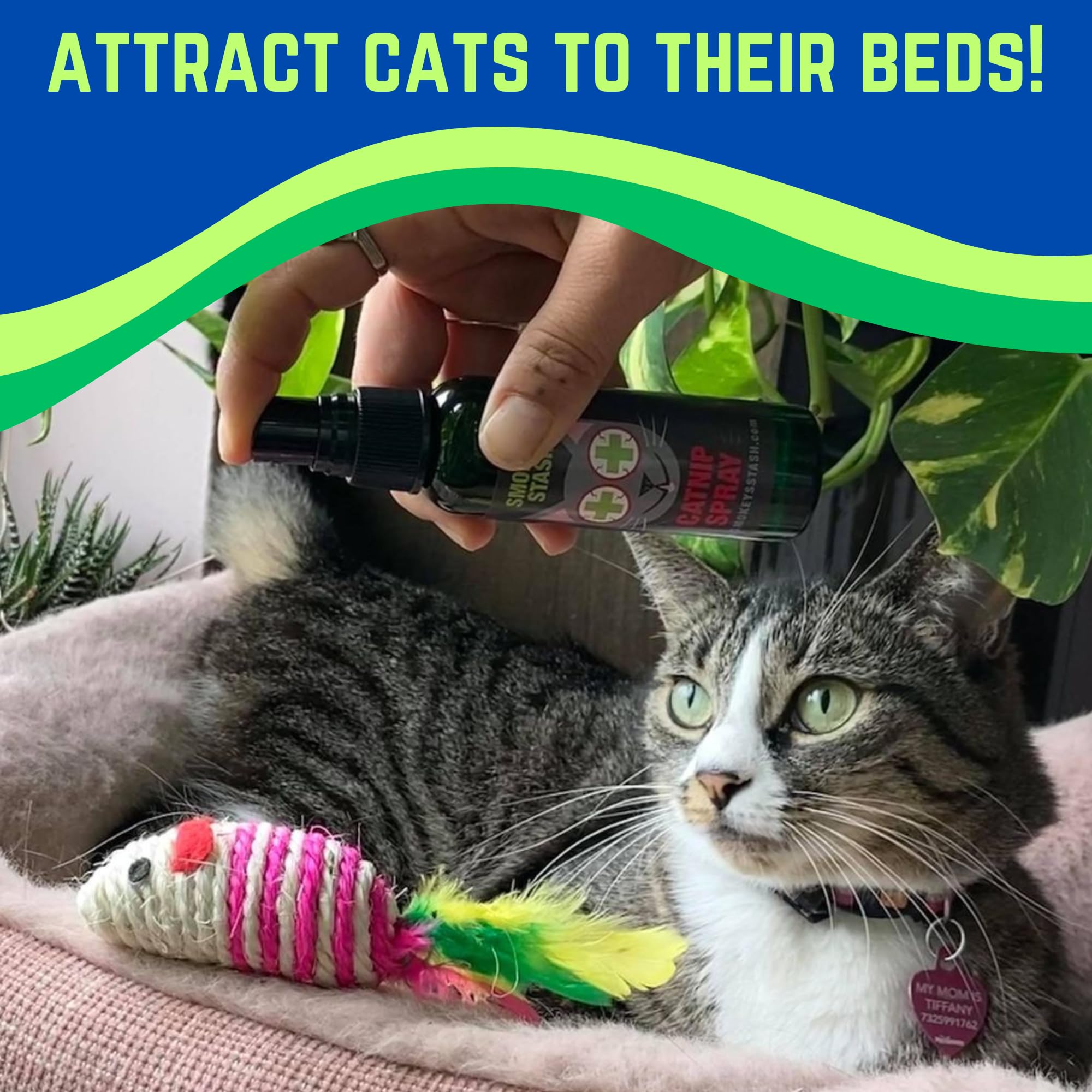 Smokey's Stash spray used during training to guide scratching behavior