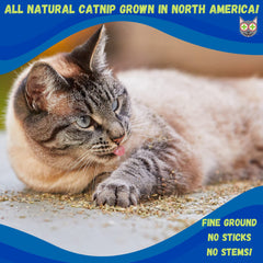 Smokey's Stash organic catnip dried crumbs spark natural feline curiosity.