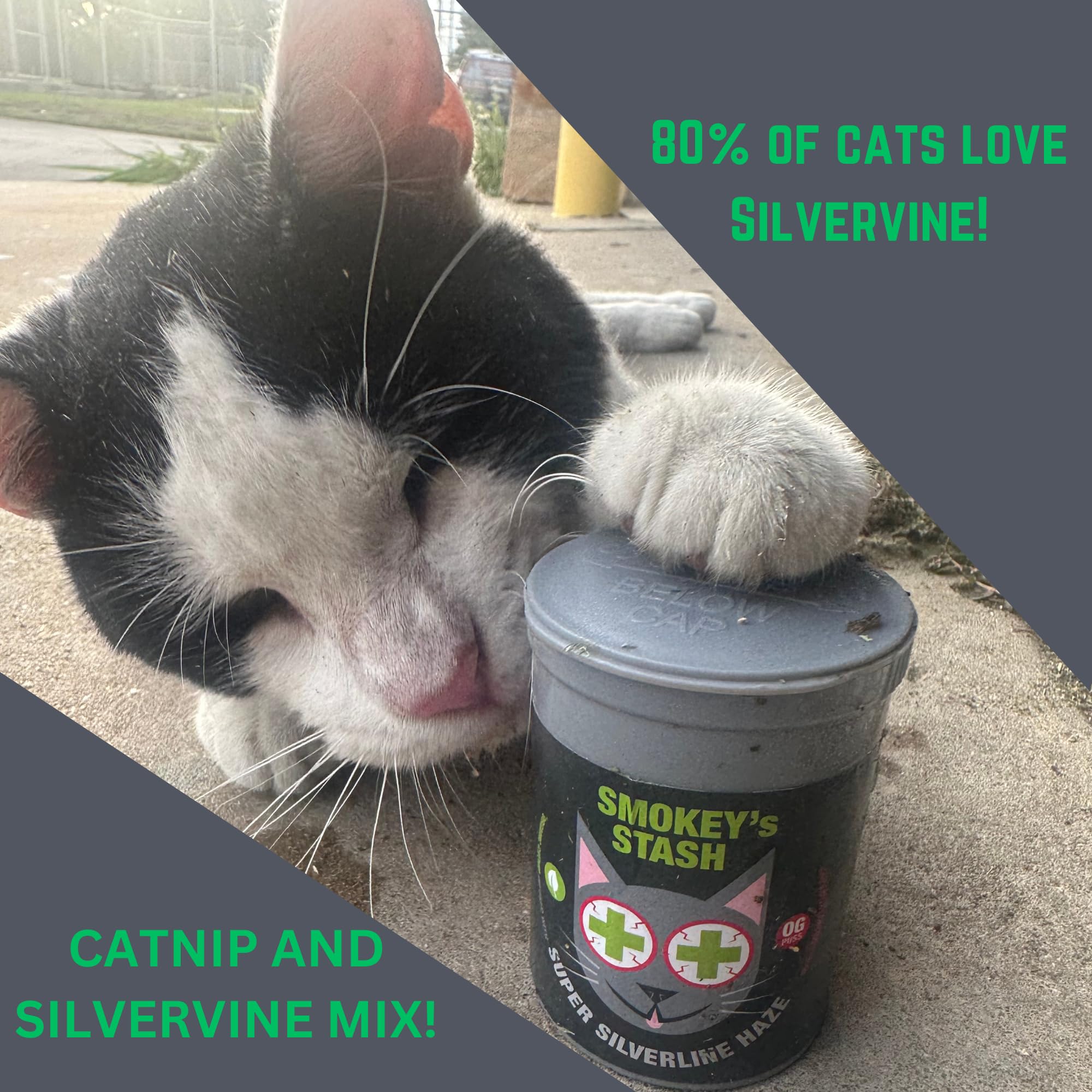 Smokey's Stash potent catnip dried leaves emit fresh aroma for curious cats