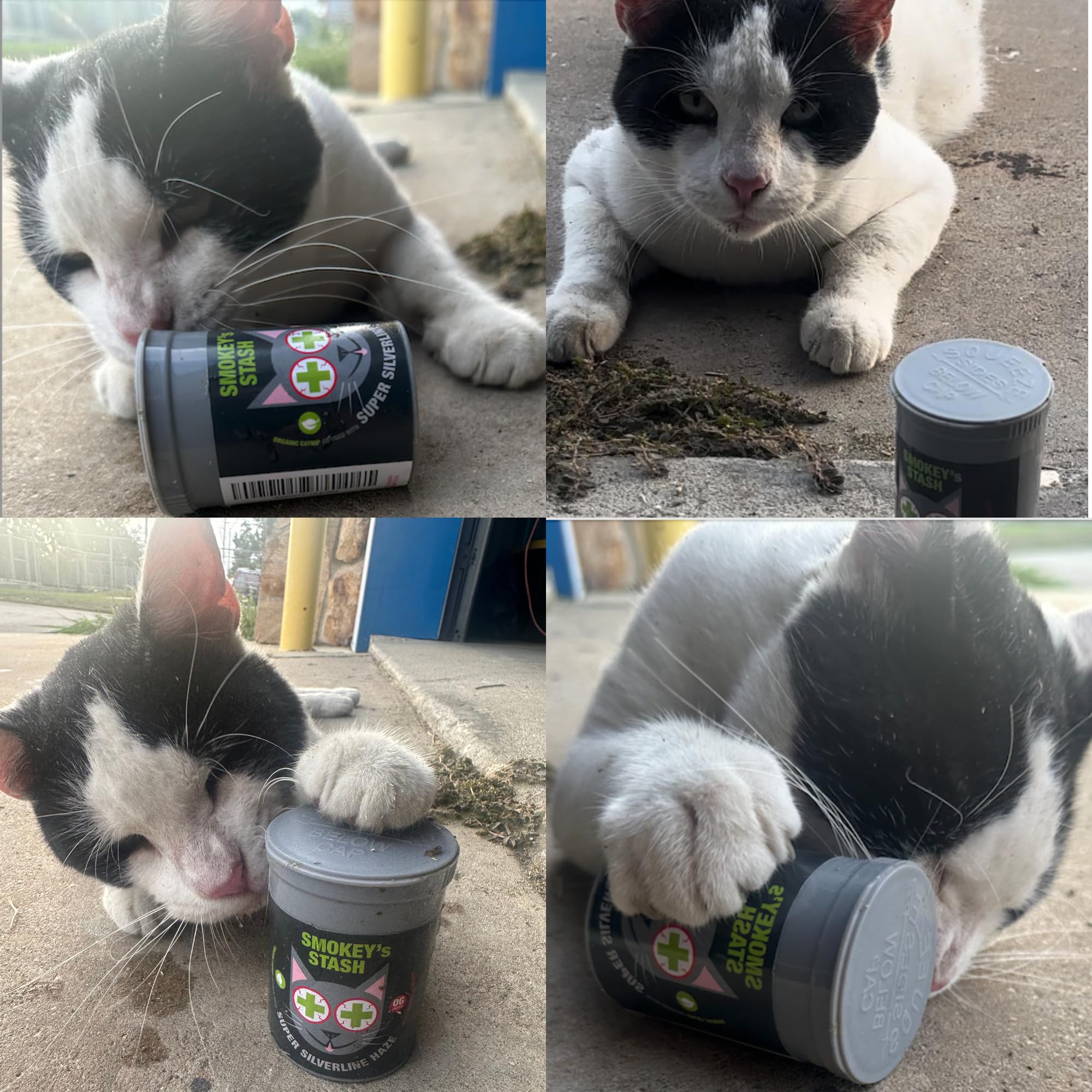 Smokey's Stash USA-grown catnip packaging signals safety and quality